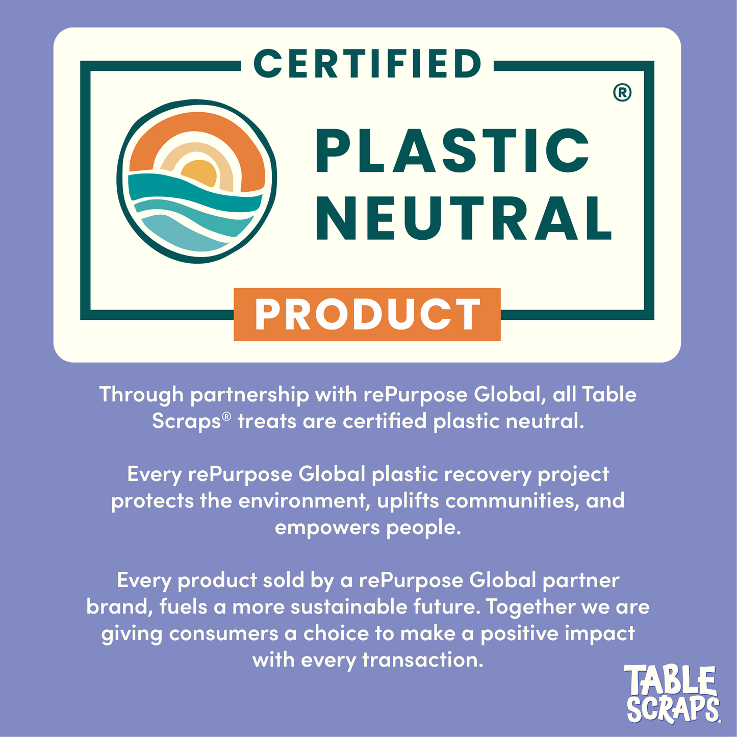 Stitch Sweet Hawaiian Bacon Flavor Dog Treats