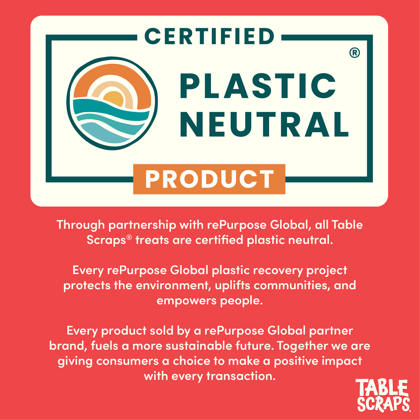 101 Dalmatians Shepherd's Pie Flavor Dog Treats