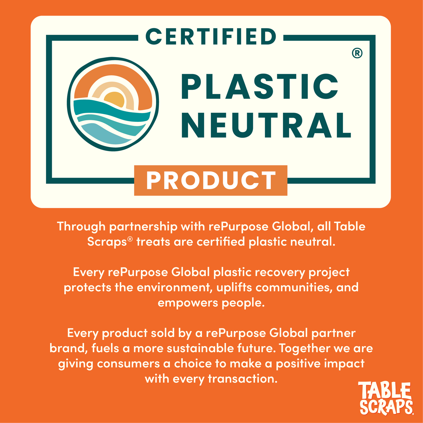 Winnie the Pooh Honey Roasted Turkey Flavor Dog Treats