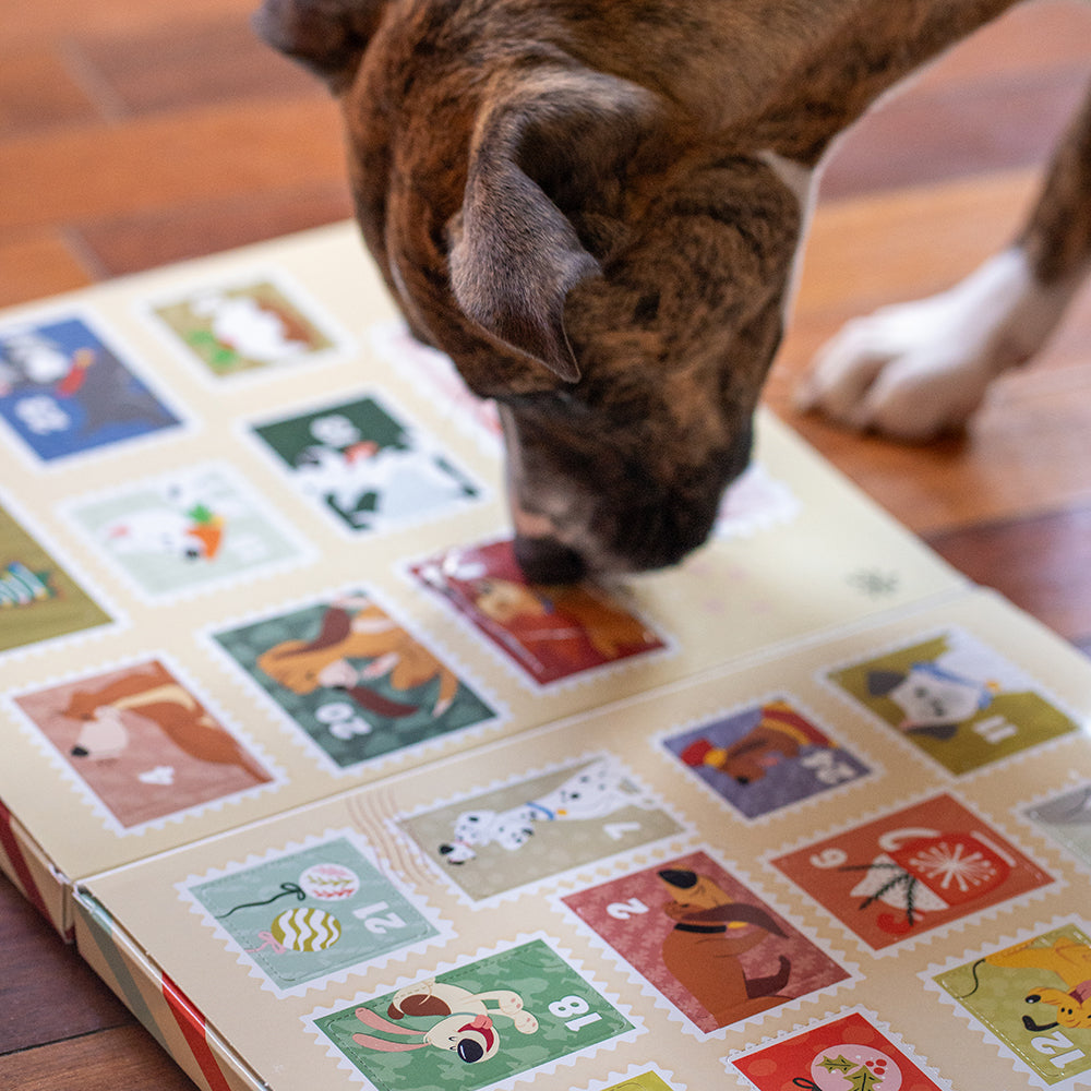Jerky Treat Advent Calendar
